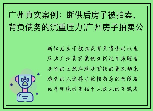 广州真实案例：断供后房子被拍卖，背负债务的沉重压力(广州房子拍卖公告)